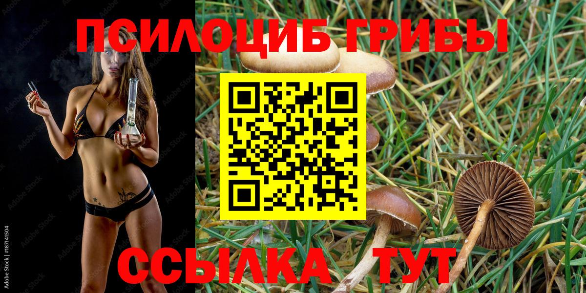 Псилоцибиновые грибы мицелий  Псилоцибиновые грибы прущие грибы  Вход с VPN  Краснокаменск 