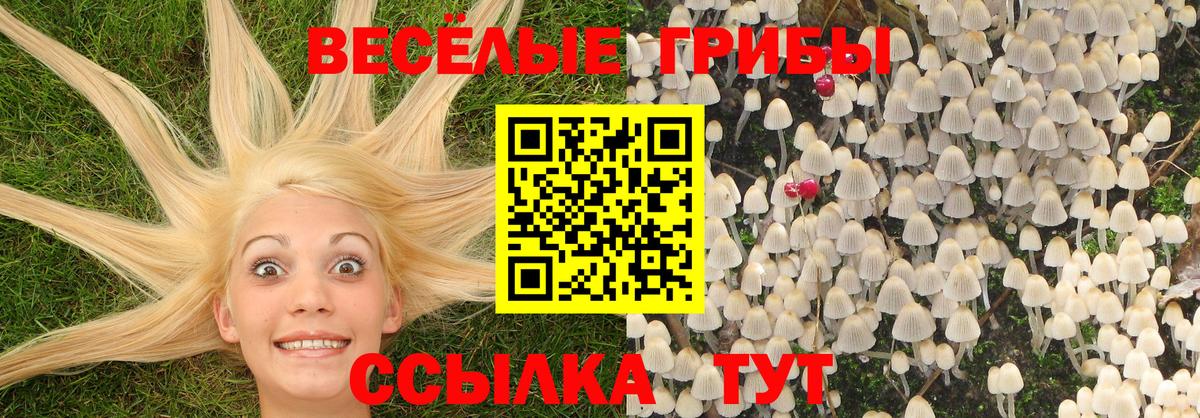 Псилоцибиновые грибы GOLDEN TEACHER Краснокаменск